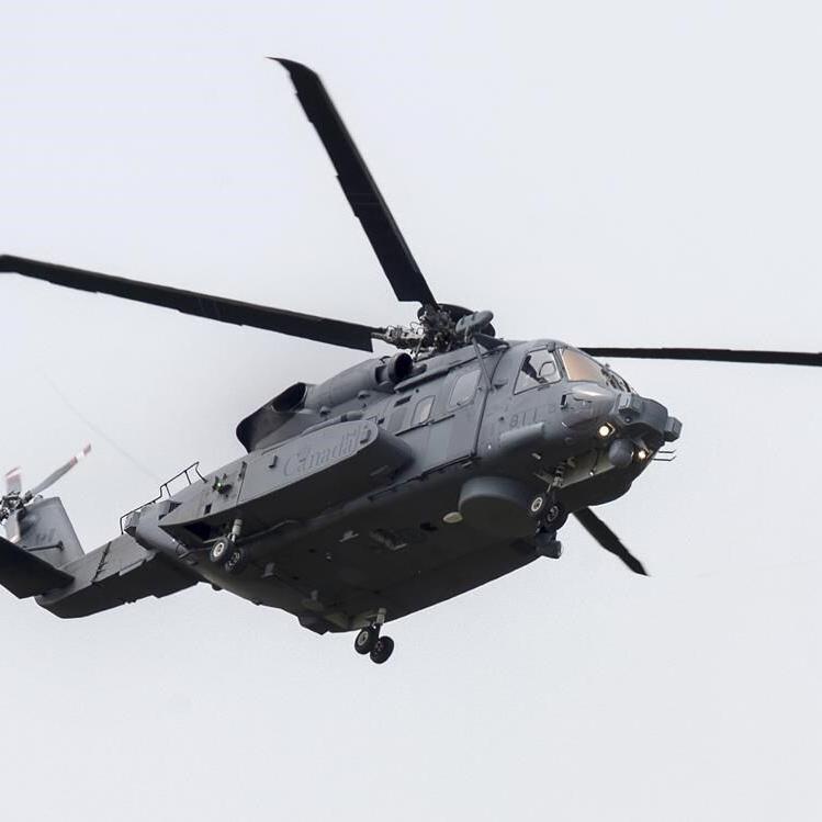 Ottawa on hook for software glitch that caused deadly military helicopter crash